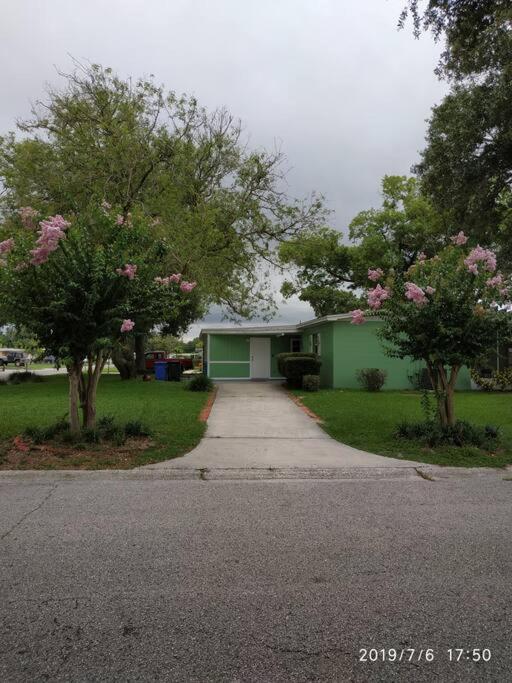 Green House Tampa Bagian luar foto